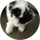 Makabre profile picture